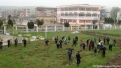 plantare-luna-padurii-21