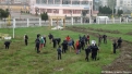 plantare-luna-padurii-23