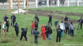plantare-luna-padurii-24