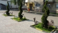 piata_veche_rovinari-33