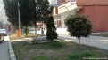 piata_veche_rovinari-6