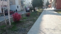 piata_veche_rovinari-7