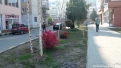 piata_veche_rovinari-8