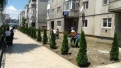 reabilitare-zona-blocuri-i2-i4-rovinari-1