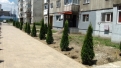 reabilitare-zona-blocuri-i2-i4-rovinari-7