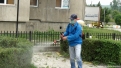 dezinsectie-6