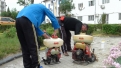 dezinsectie