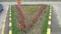 flori2011-13