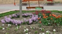 flori2011-31