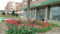 flori2011-37