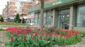 flori2011-38