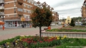 flori2011-49