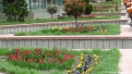 flori2011-55