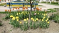 flori2011-65