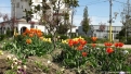 flori2011-66