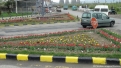 flori2011-7
