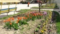 flori2011-77