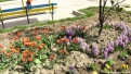 flori2011-78