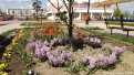 flori2011-79