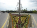 flori-2010-19