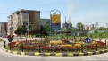 flori-58