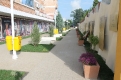 ziua-eroilor-rovinari-14