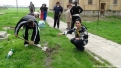 Plantare artari